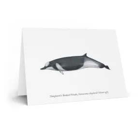 Shepherd's Beaked Whale Greeting Card